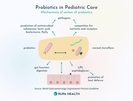 Choosing the Right Probiotic for Children